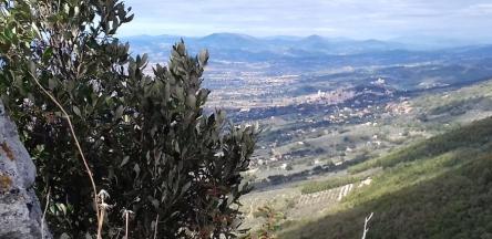 Sulle tracce di San Francesco: da Assisi a Spello