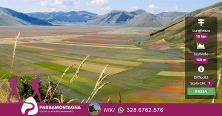 Fioritura di Castelluccio, l’altopiano colorato