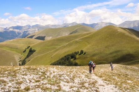 I boschi e i panorami dell'altopiano di Castelluccio, tra il giorno e la notte