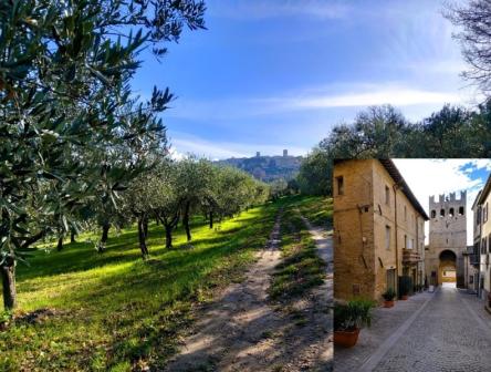 Gironzolando nelle campagne di Montefalco e degustazione vini in cantina